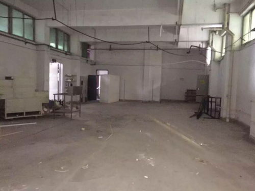 外資廠房驗(yàn)廠檢測鑒定報(bào)告高效出具指南