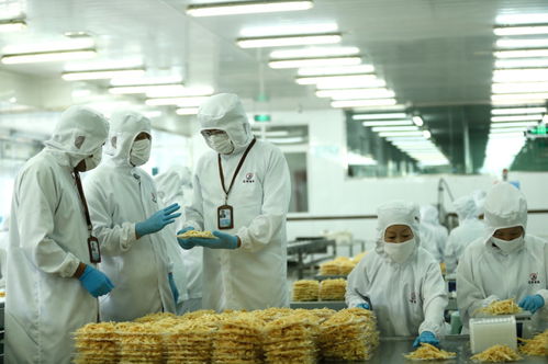 檢測服務為翼，助力山東即墨企業振翅高飛